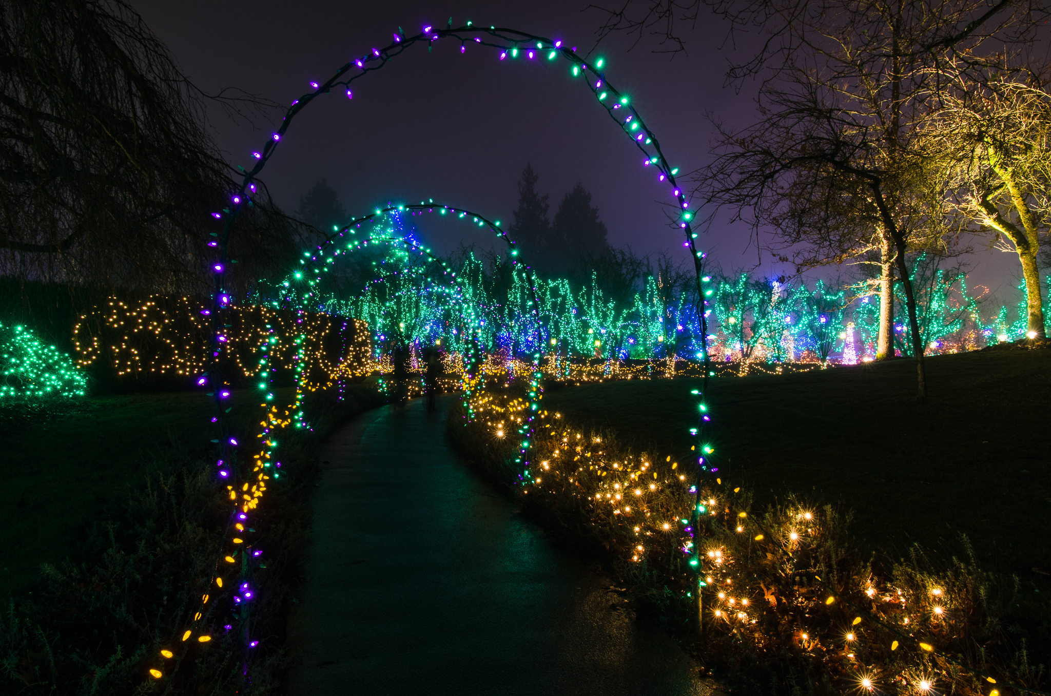 Festival of Lights at VanDusen Gardens in Vancouver, BC