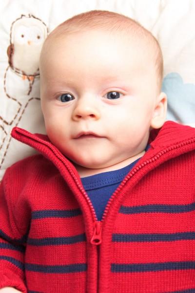 Gavin