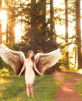 Angel Wings