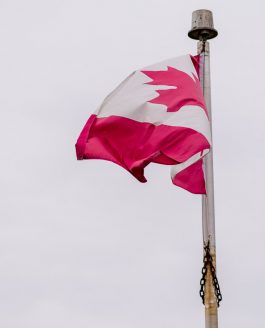 Canada Day Celebration in Heritage Park and Fireworks