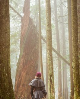 West Coast Forest Photo Adventure