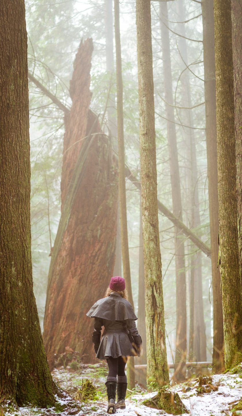 West Coast Forest Photo Adventure